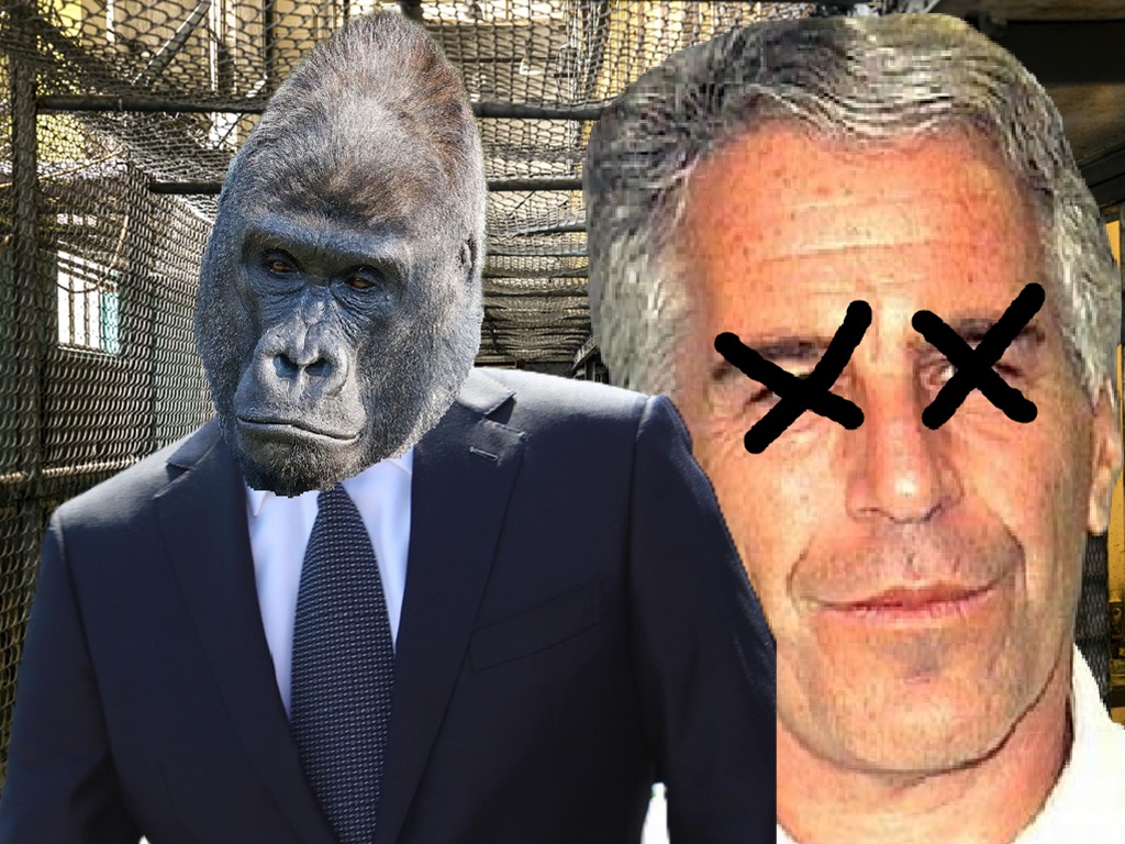 Leaked security footage reveals Jeffrey Epstein murdered by covert&nbsp;gorilla